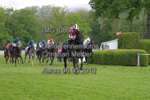 IMG 0864 prot